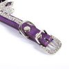 Gemstone Pet Collar Pet Collar Cat Pet Product